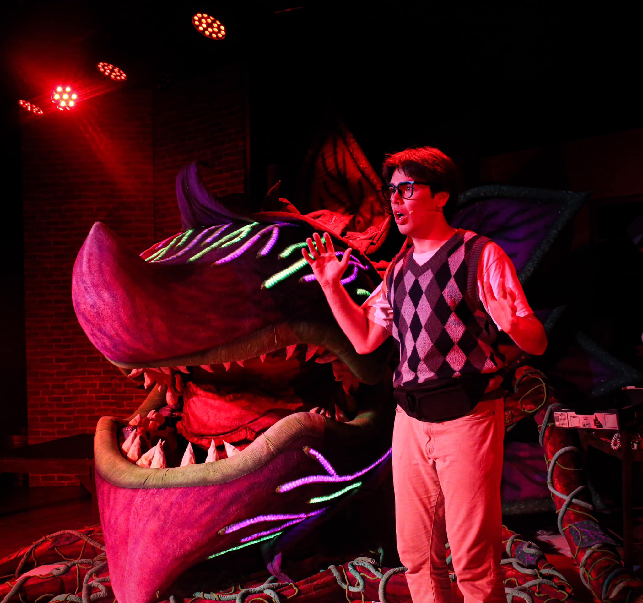 Little shop of horrors camden musical society